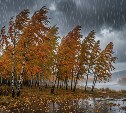 Облачность, осадки и порывистый ветер: погоды в Сахалинской области на 28 сентября