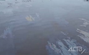 Общество