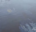 "Взяты пробы воды, выставляются боны": в минэкологии прокомментировали разлив нефтепродуктов на Сахалине 