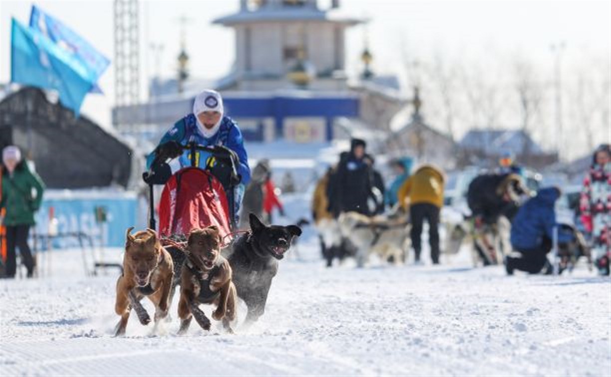 Лыжи, нарты и собаки - соревнования по ездовому спорту прошли в Сахалинской области