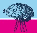 Нейроинтерфейсы: можно ли стирать память, читать мысли и когда мы будем смотреть нейропорно