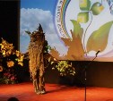 Юбилейный экологический фестиваль "Зеленый калейдоскоп" пройдет на Сахалине