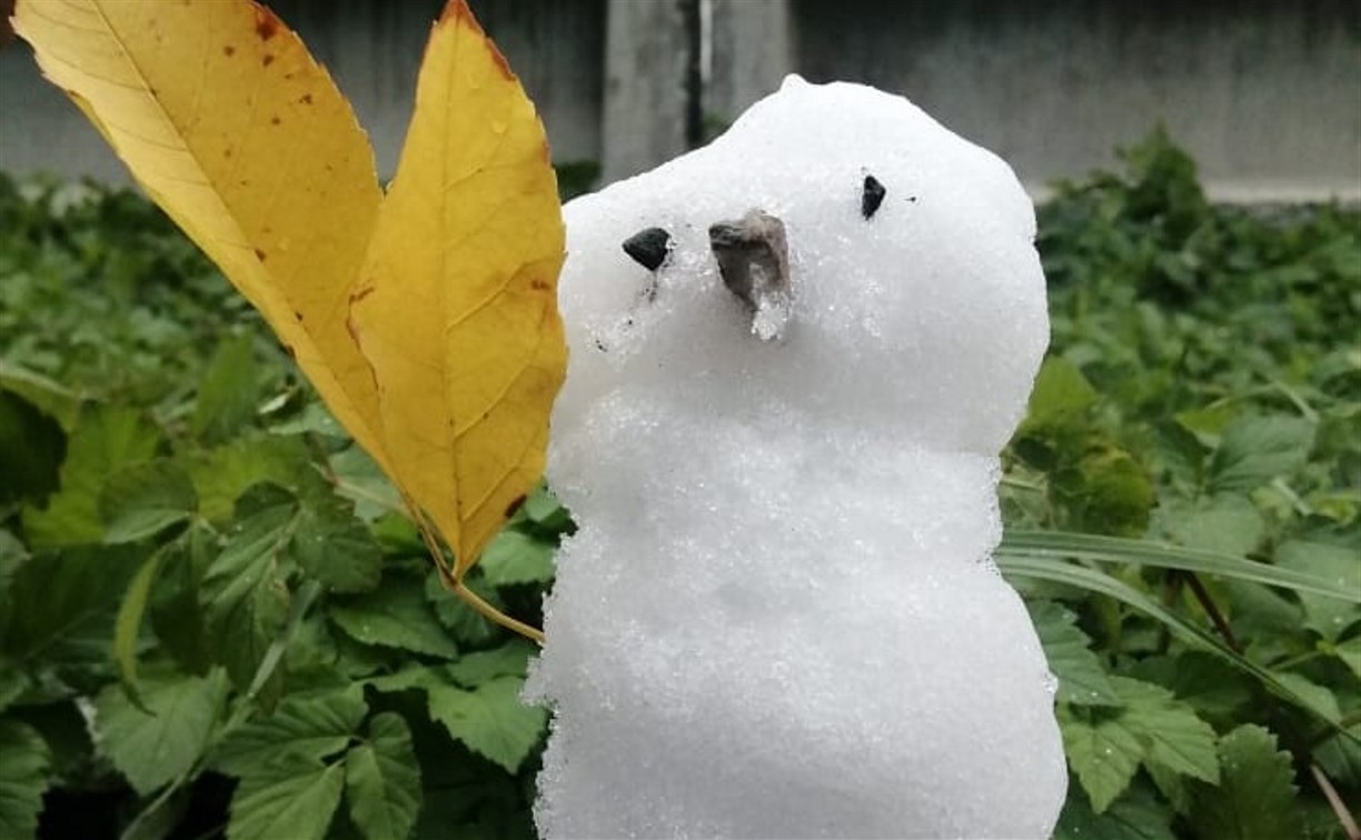 Снеговики-пробники стали появляться на Сахалине