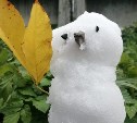 Снеговики-пробники стали появляться на Сахалине