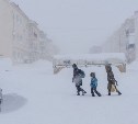 Жителям Южно-Сахалинска дали рекомендации по подготовке к надвигающейся метели 