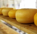 Тест: знаете ли вы виды сыров?