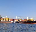 Более 6 тысяч тонн рыбопродукции оформлено на экспорт из Приморья и Сахалина за неделю