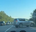 Сахалинка: во время гигантской пробки в районе "Оленьей горки" повстречали реального "оленя"  
