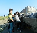 Активисты собрали с пляжа в Холмске 1,5 тонны мусора