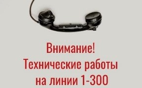 Общество
