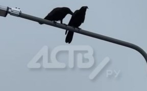 Общество