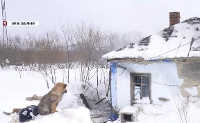 Происшествия