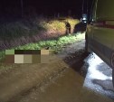 Парень погиб, девушка пострадала: автомобиль сбил пешеходов и скрылся с места ДТП в Южно-Сахалинске