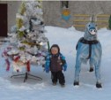 У детского сада в Южно-Сахалинске появилась собственная лошадь