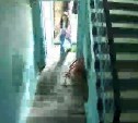 Уголовное дело по факту нападения на несовершеннолетнюю в Южно-Сахалинске возбудили следователи