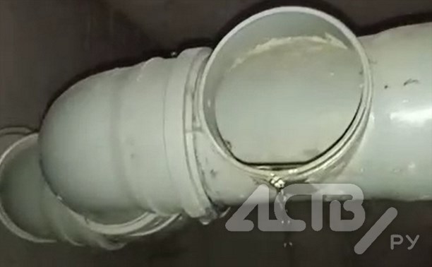 Столько комаров вы не видели: в одном из домов Южно-Сахалинска нет горячей воды, но есть болото
