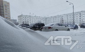 Общество