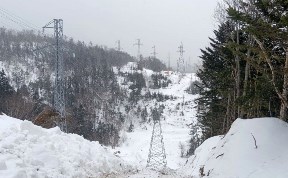 Общество