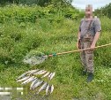 81 нарушение за неделю: сахалинские браконьеры остались без икры, сетей и машины