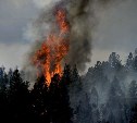 Лесной пожар вспыхнул в центральной части Сахалина - с огнём боролись восемь расчётов