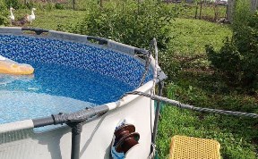 Происшествия