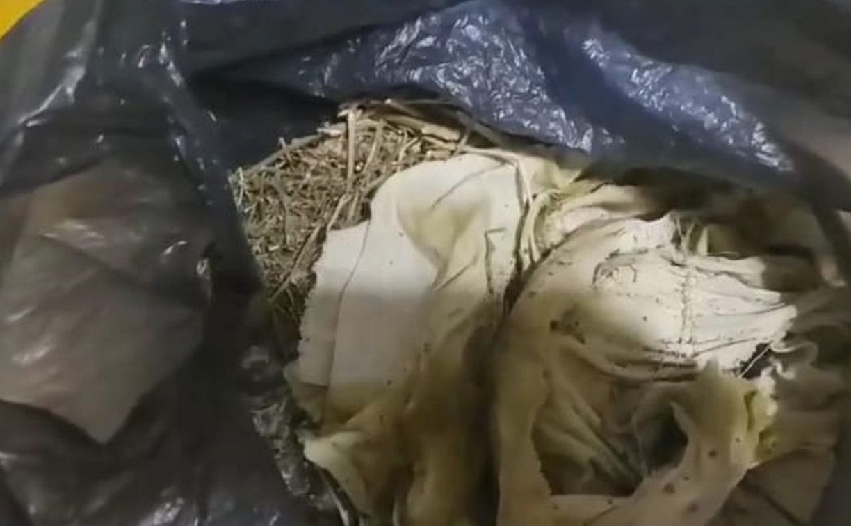 У жителя Горнозаводска нашли мешки с коноплёй
