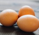 Сахалинская птицефабрика "Островная" завершила утилизацию птицы и яйца