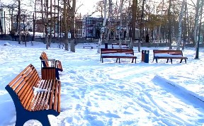 Общество