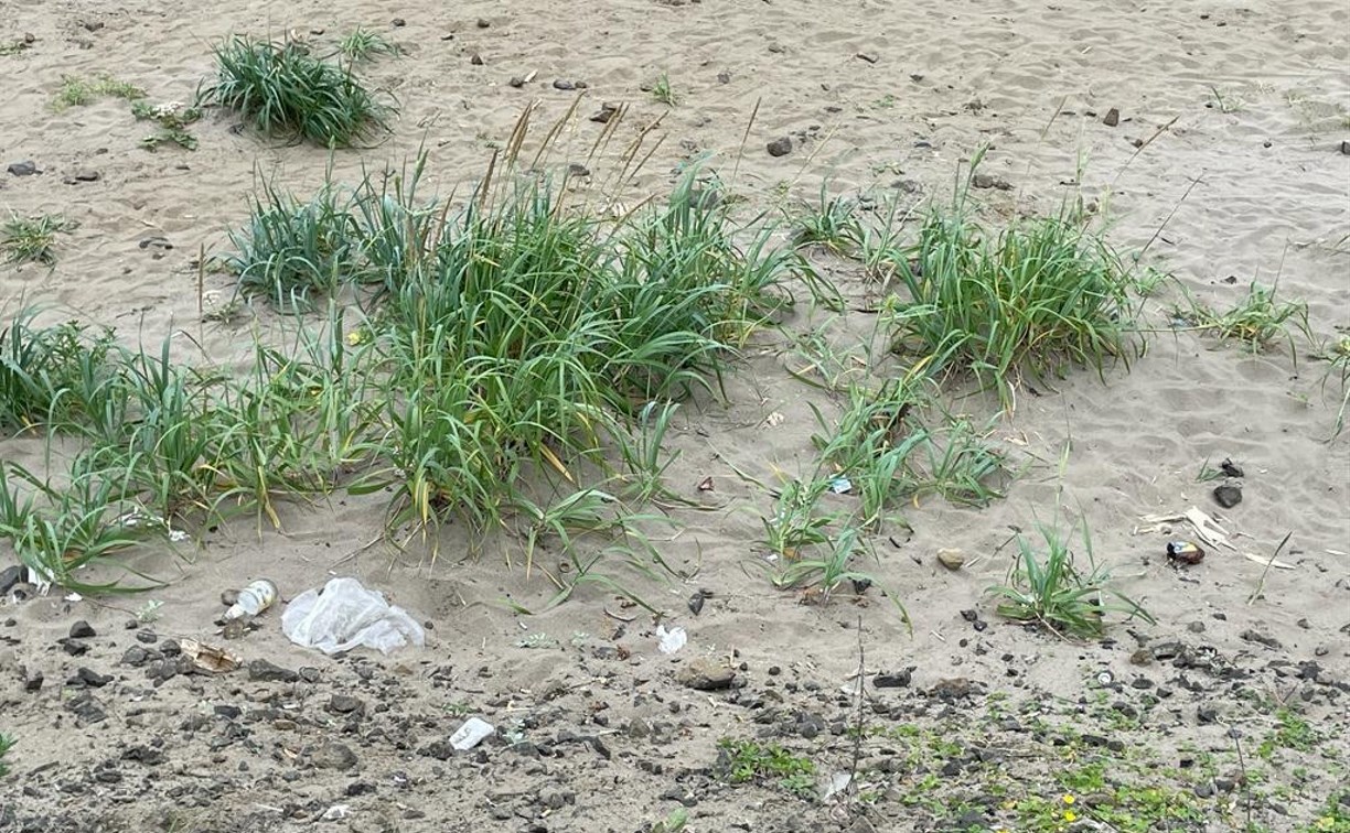 Загаженный отдыхающими пляж в Яблочном очистят к середине августа