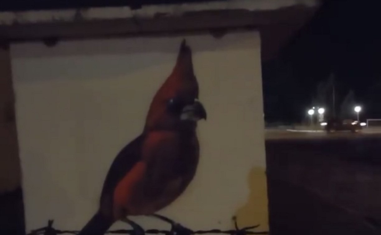 В Южно-Сахалинске появился новый стрит-арт с птичкой
