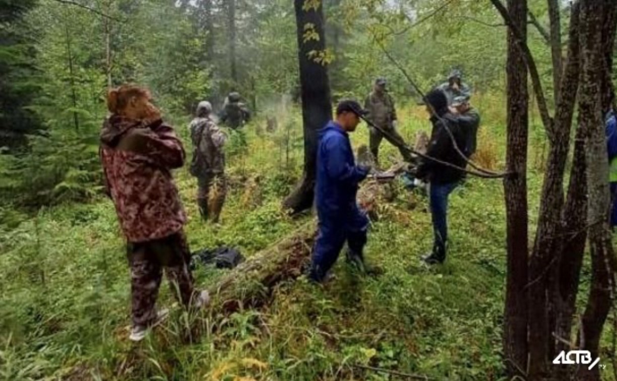 Дождь и туман мешают поискам пропавших в Смирныховском районе женщин