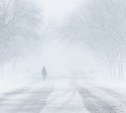 Метель и сильный ветер прогнозируют на севере Сахалина