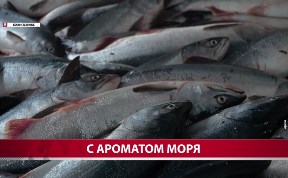 Общество