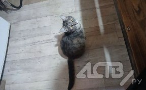 Общество