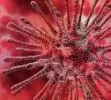 Еще двое сахалинцев выздоровели от коронавирусной инфекции 