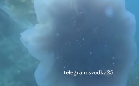 Общество