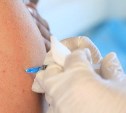На Сахалине временно приостановили выездную вакцинацию от COVID-19