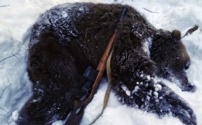 Происшествия