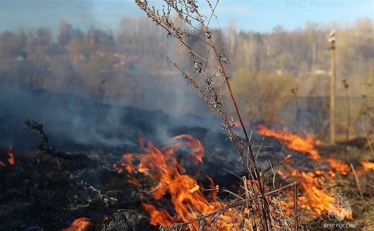 За сутки на Сахалине сгорело 11 100 "квадратов" сухой травы
