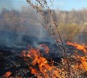 За сутки на Сахалине сгорело 11 100 "квадратов" сухой травы