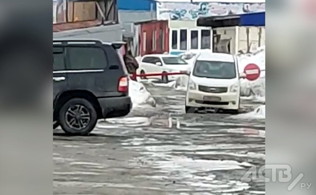 Сахалинцы возмущены платой за проезд на оптовую базу в Южно-Сахалинске