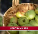 Сахалинский фермер рассказал, зачем кладёт ржавое железо в лунку с саженцем яблони