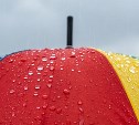 На Сахалине дожди, а на Курилах облачно: прогноз погоды для региона на 19 июня