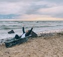 Стас Пьеха в новом клипе повторил сахалинскую "фишку" с ванной на пляже