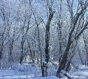 Весна на Сахалине начнётся с морозов