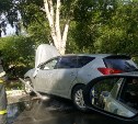 "Тойота" врезалась в дерево в Южно-Сахалинске