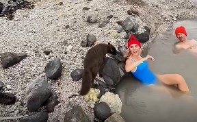Общество