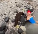 Песец пришел к ведущим Первого канала, снимающим шоу на Северных Курилах 