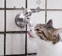 К качеству воды в десяти домах в Синегорске возникли вопросы