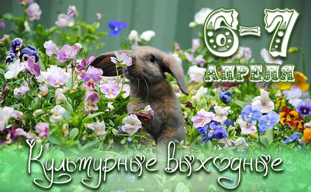 Город
